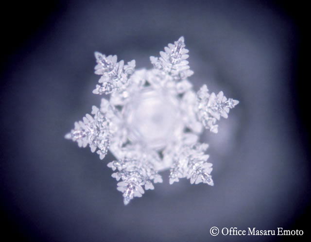 Foto eines Wasserkristalls von Masuro Emoto nachdem Wasser mit der Musik "Die Moldau" von Smetana bespielt wurde. Erkenne die Ursachen Deiner Probleme! Ganzheitliche Beratung in Linz - Harmonie in Körper | Geist | Seele